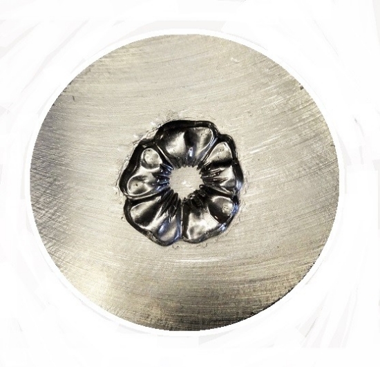 Picture of Impression Die Shot Plate Frangipani Flower 4
