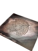 Picture of Pattern Plate RMP018 Skeleton Leaves 1