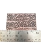 Picture of Pattern Plates RMP080 Long Skeleton Leaves