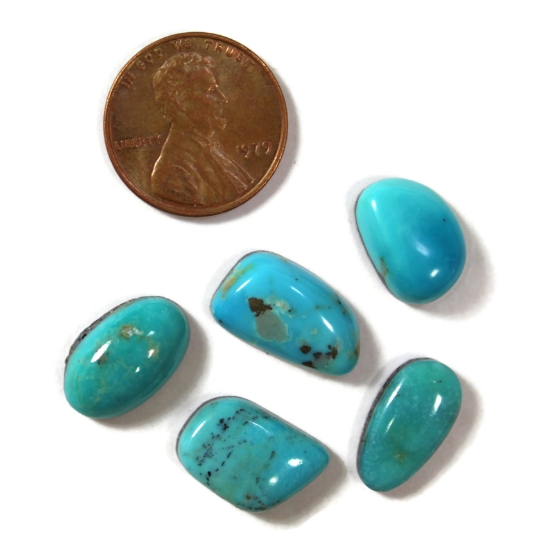 Picture of Turquoise Batch A - Lot 53