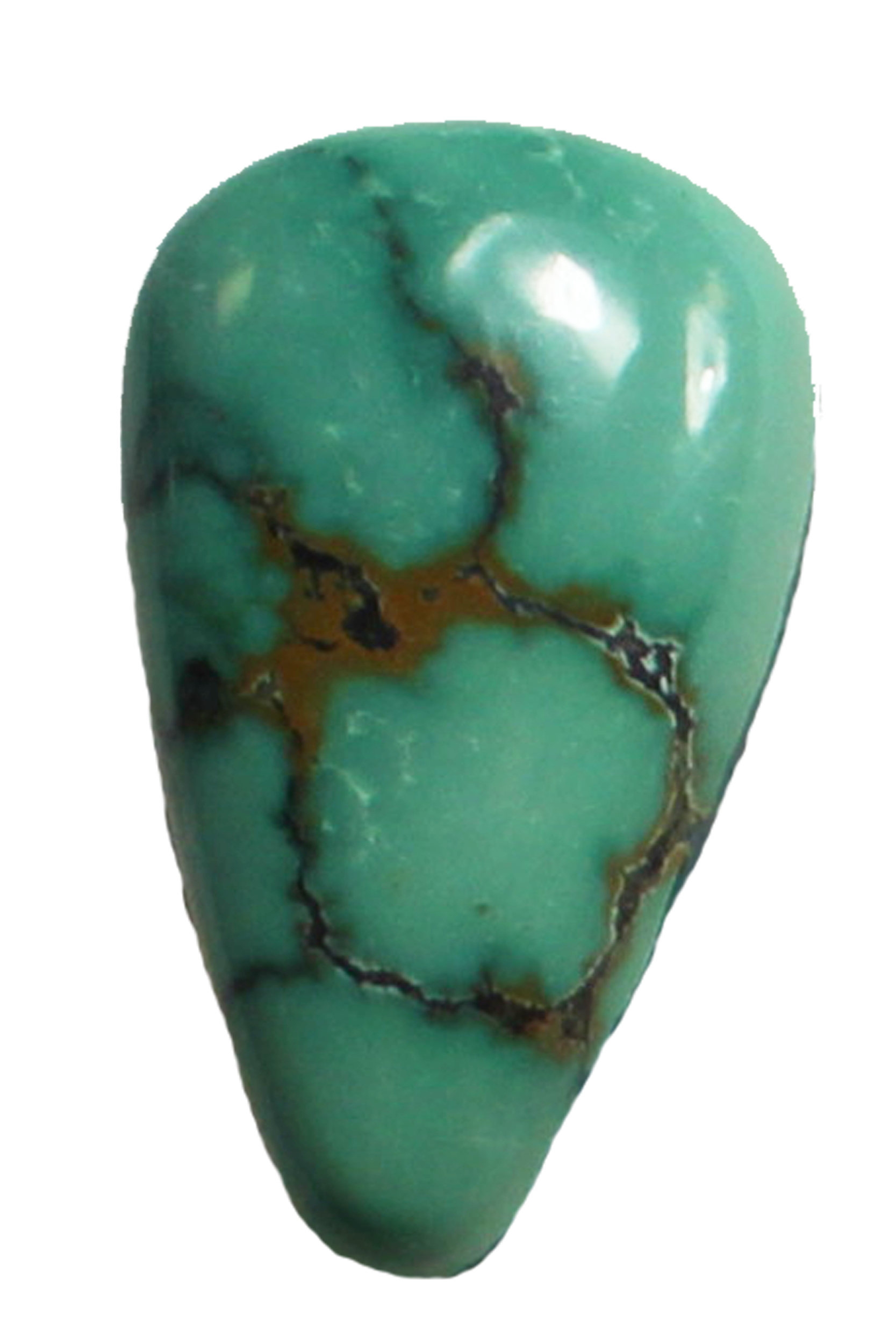 Potter USA - Fine Tools. Turquoise Cabochon Hubei 5