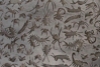 Picture of Pattern Plate RMP130 Creepy Insects