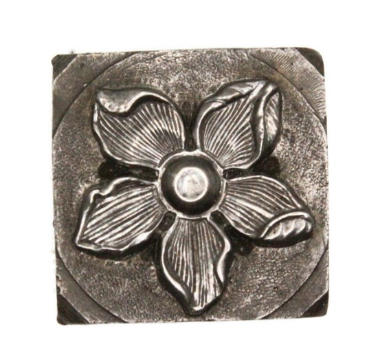 Picture of Impression Die Curled Starflower