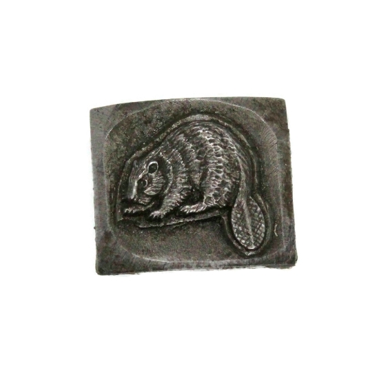 Picture of Impression Die Beaver