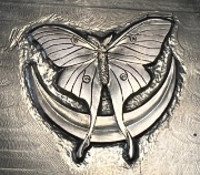 Picture of Impression Die Ron Landis Lunar Moth