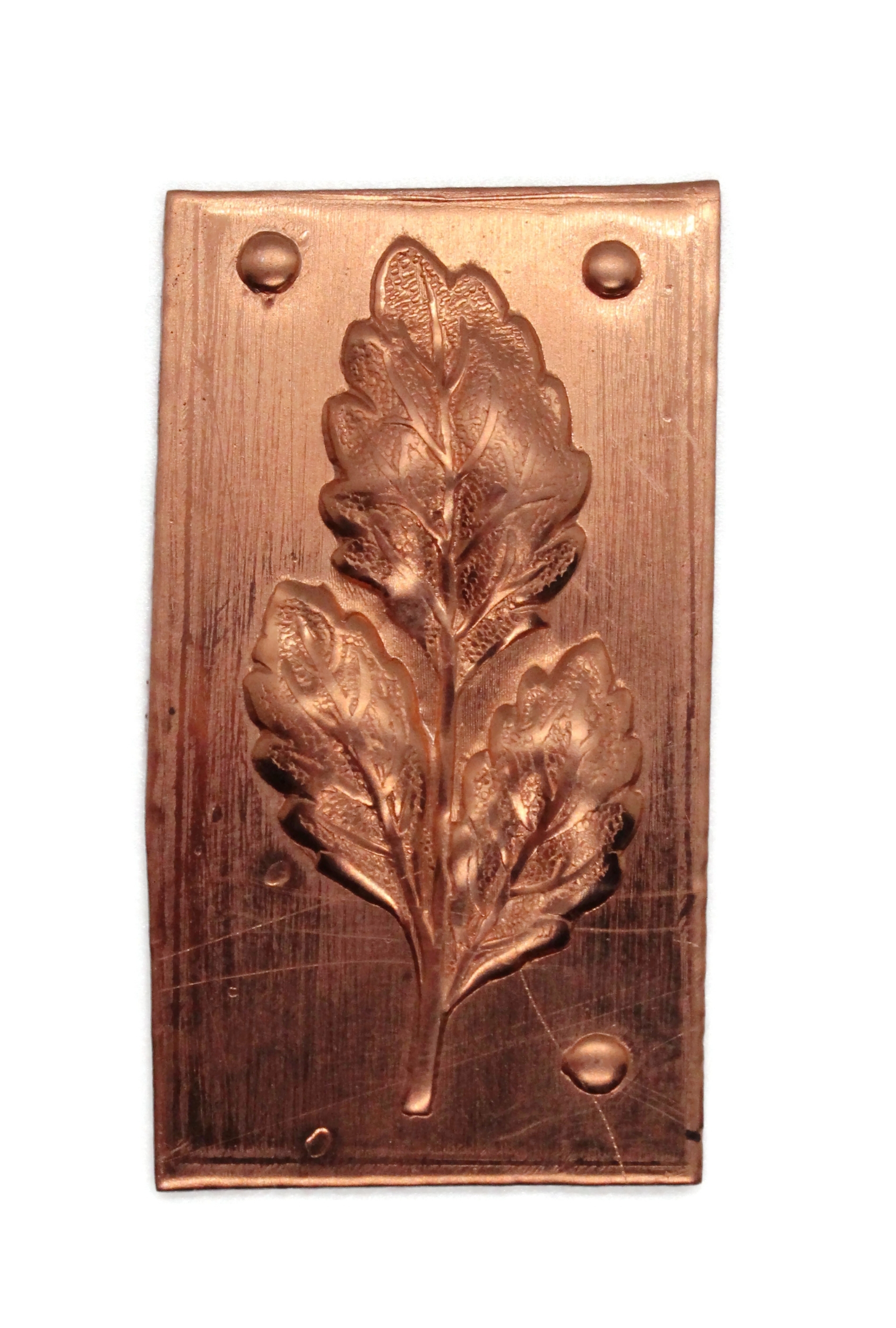 Potter USA Fine Tools. Copper Stamping Realistic Leaves