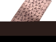 Picture of Pattern Plate RMP247 The Birds