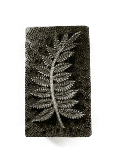 Picture of Impression Die Fern