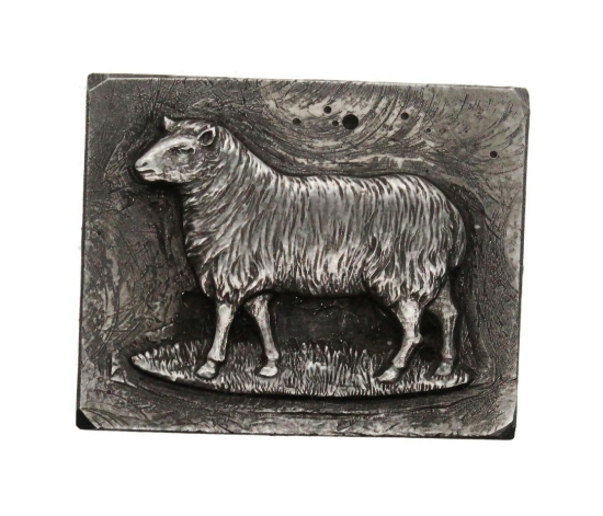 Picture of Impression Die Sheep