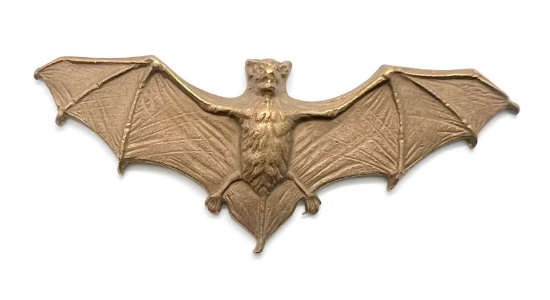 Picture of Small Exposed Flying Bat Janvier Brass Stampings-2pcs 