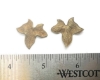 Picture of Small Delicate Leaf Janvier Brass Stampings-2pcs 